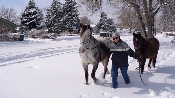 Jayne with Comet and Darby in the Snow