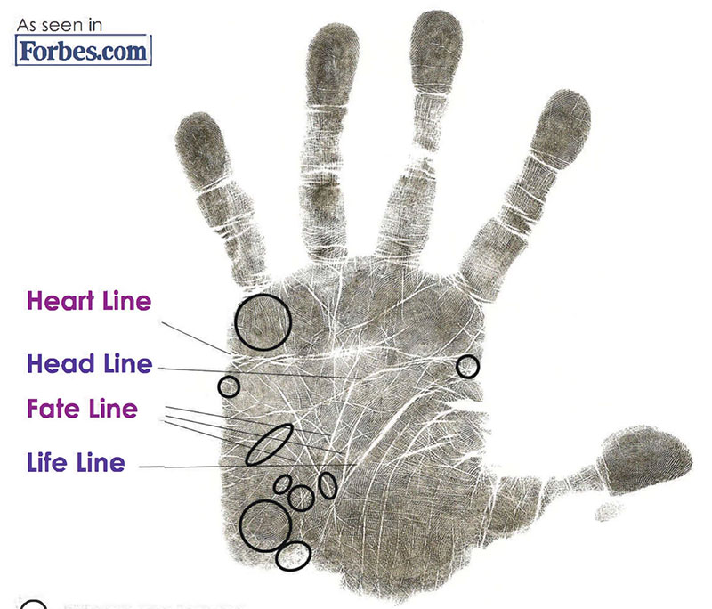 PurposeWhisperer-HandprintFromHandout