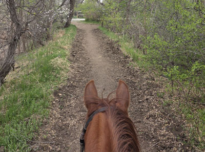 Scarlett and I on the Trail