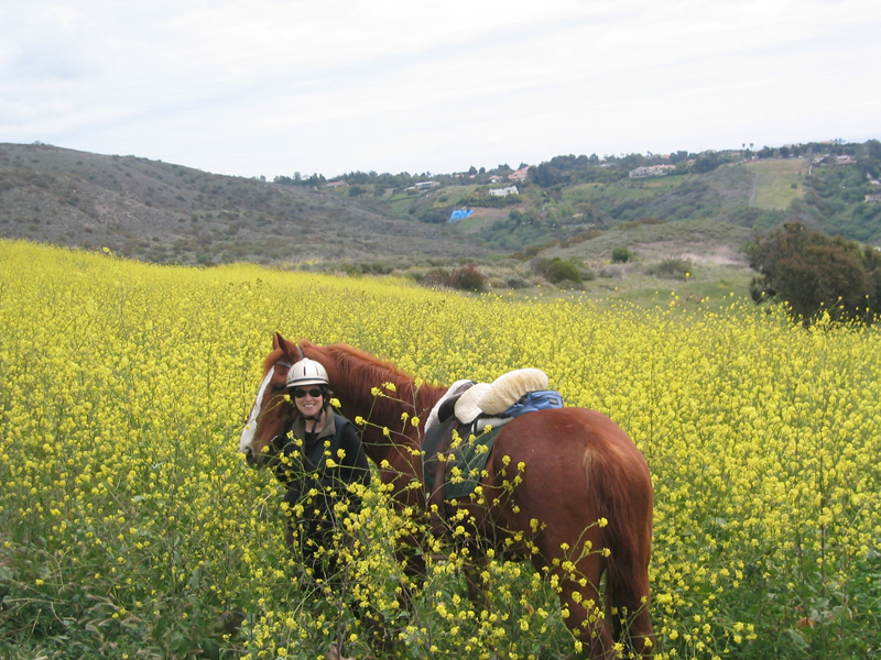 Jayne and Beau in Mustard Field